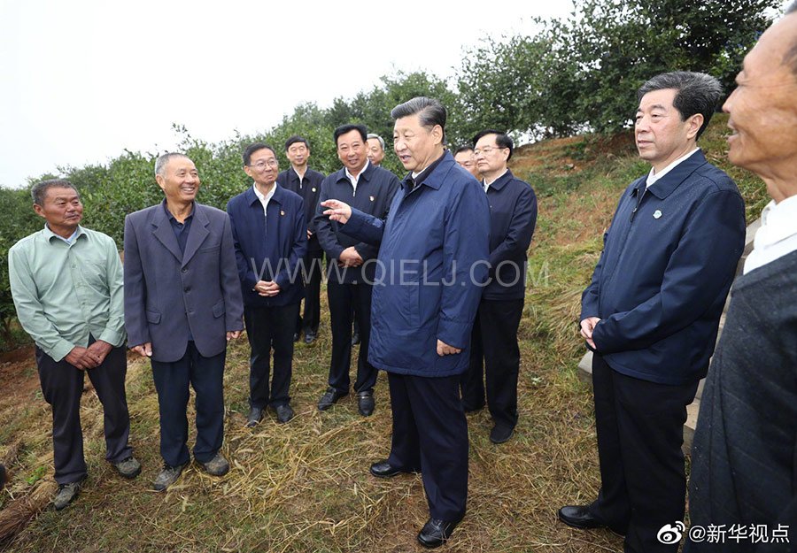 光山油茶籽榨油設(shè)備，山茶籽油榨油機(jī)廠家(圖3)