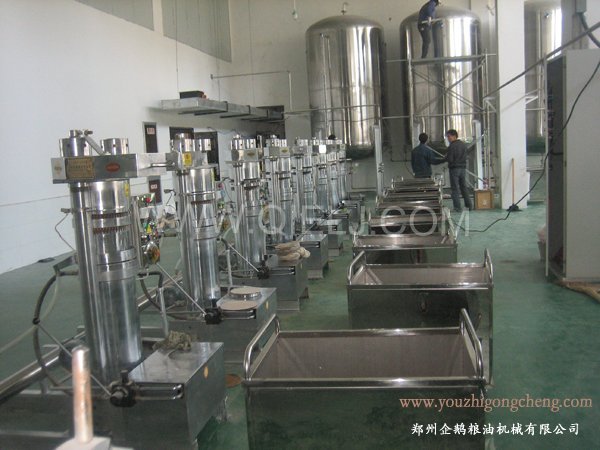 核桃油提取設(shè)備 企鵝牌核桃油設(shè)備 質(zhì)優(yōu)價(jià)好！(圖2)