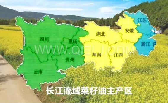 濃香菜籽油成套設(shè)備，企鵝糧油機(jī)械品質(zhì)出眾(圖1)